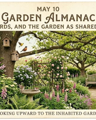 Garden Almanac for May 10