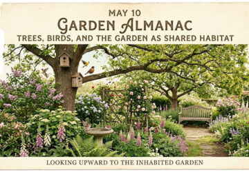 Garden Almanac for May 10