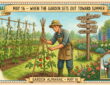 Garden Almanac for May 16