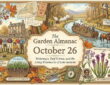 Garden Almanac for October 26