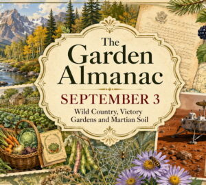 Garden Almanac for September 3