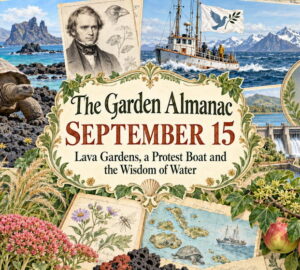 Garden Almanac for September 15