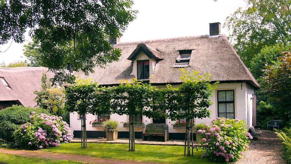 From Vision to Reality: 5 Steps to a Stunning Ornamental Garden