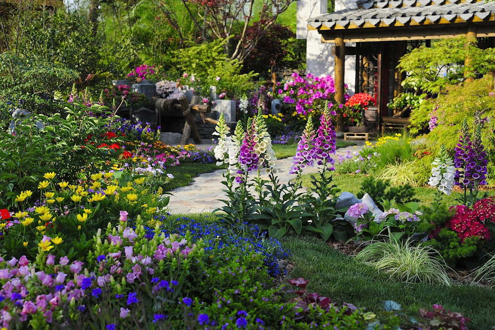 From Vision to Reality: 5 Steps to a Stunning Ornamental Garden