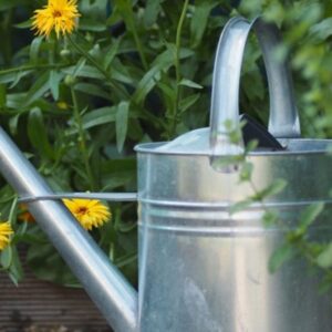 Smart Savings in the Garden