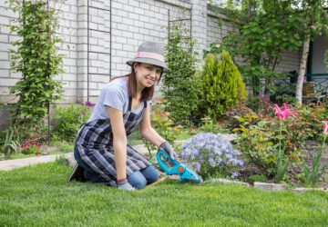 The Therapeutic Power of Gardening