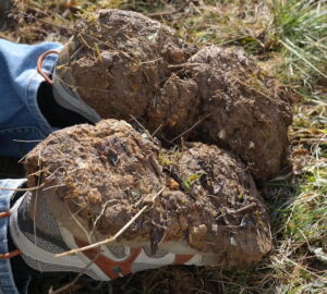 Why Gardening Shoes Turn Into Mud Platforms