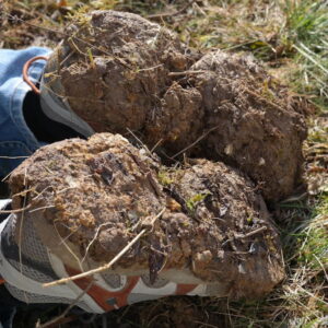 Why Gardening Shoes Turn Into Mud Platforms