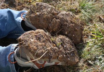 Why Gardening Shoes Turn Into Mud Platforms