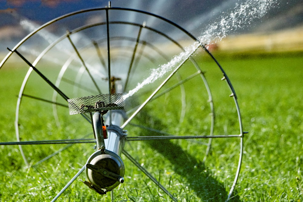 The Future of Smart Gardens