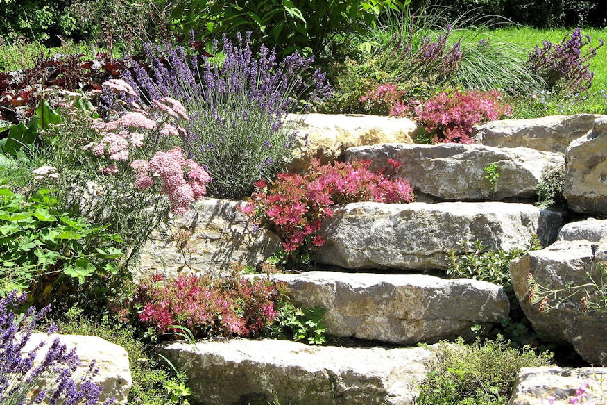 Getting Started with Rock Gardening