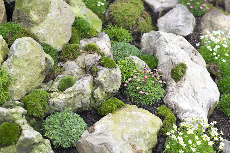 Getting Started with Rock Gardening
