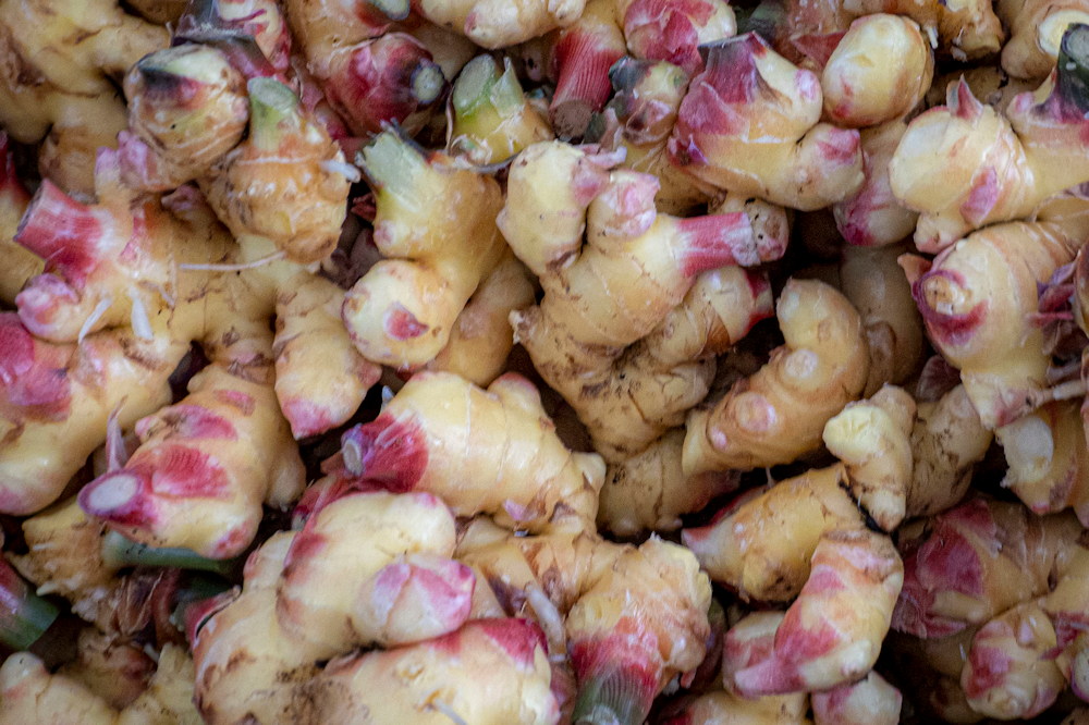 Cultivating Ginger at Home