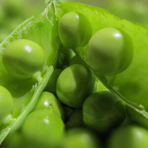 Green Pea Growing Guide