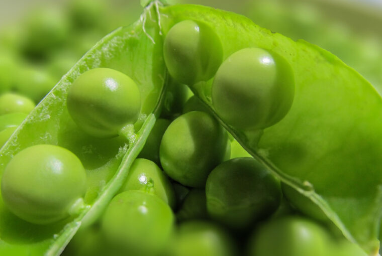 Green Pea Growing Guide