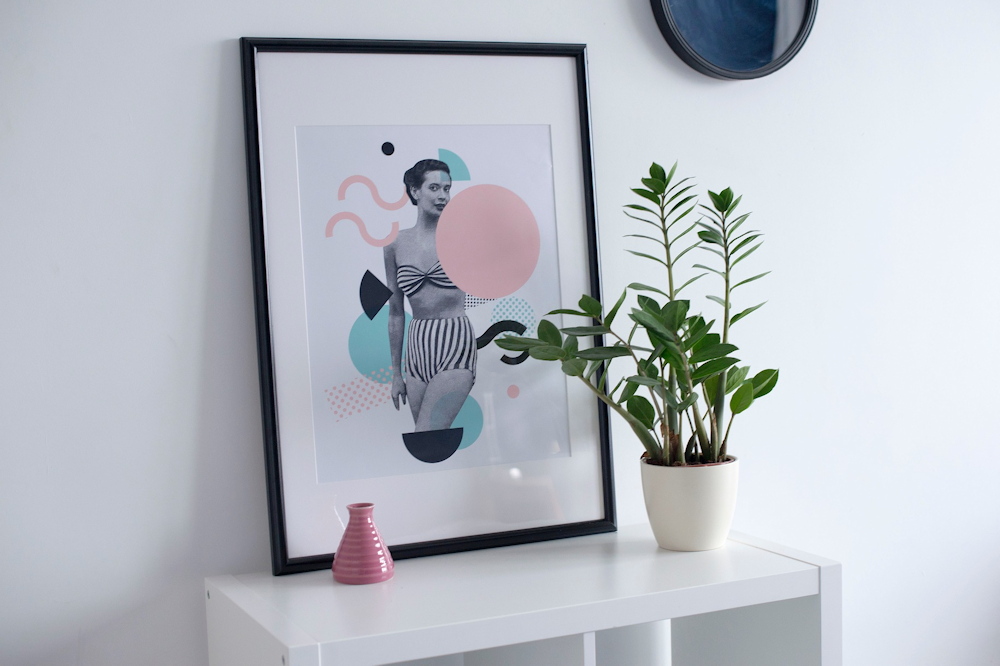 11 Features That Elevate the ZZ Plant Above All Other Houseplants