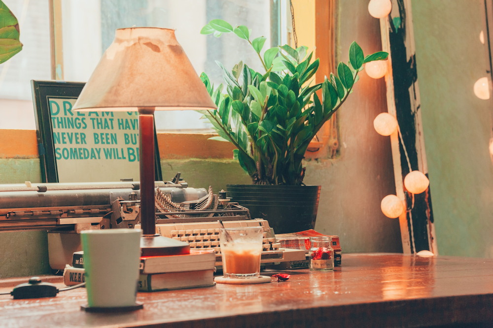 11 Features That Elevate the ZZ Plant Above All Other Houseplants