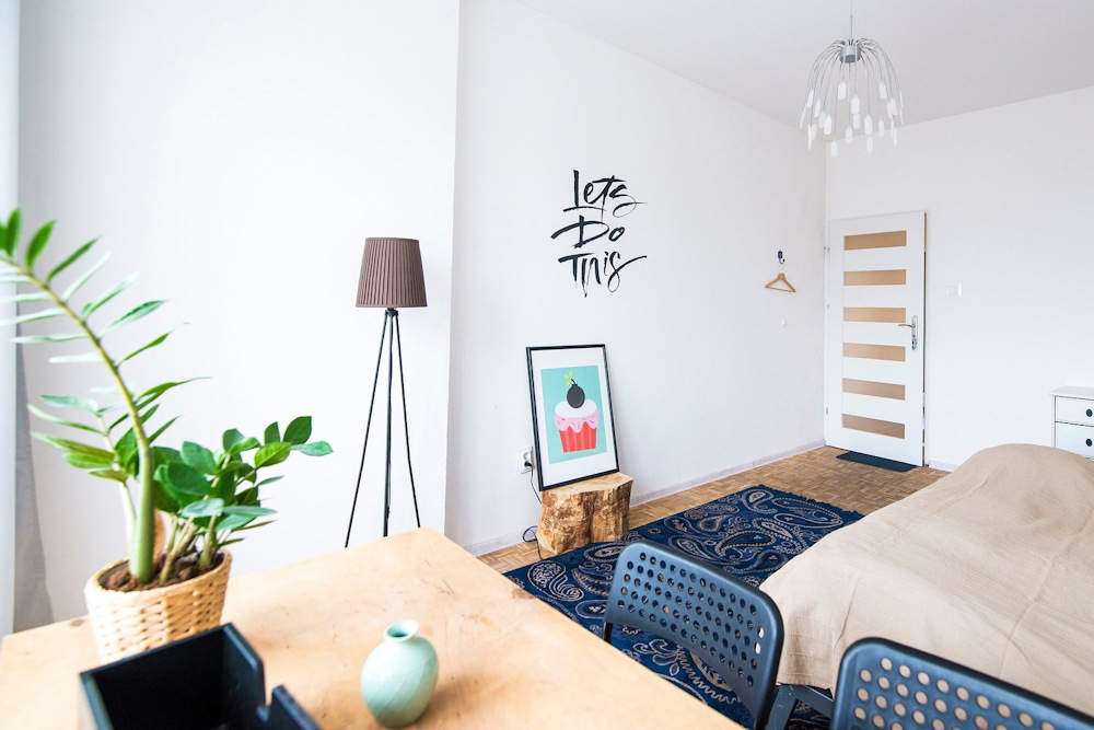 11 Features That Elevate the ZZ Plant Above All Other Houseplants