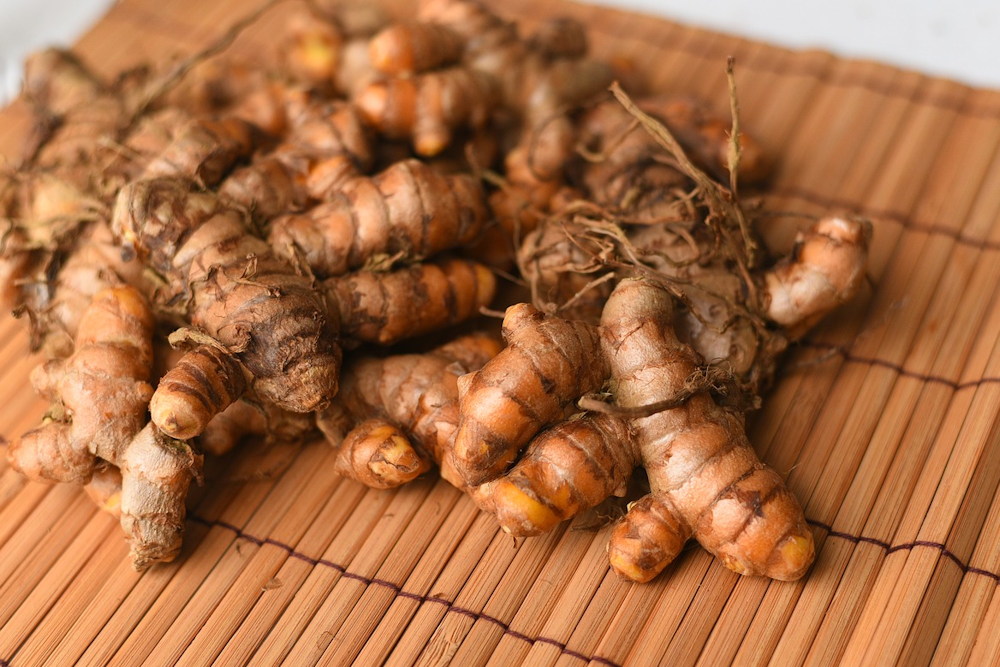 Growing Turmeric as a Houseplant