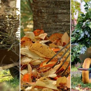 Utilizing Fallen Leaves and Twigs to Support Wildlife
