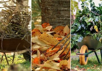 Utilizing Fallen Leaves and Twigs to Support Wildlife