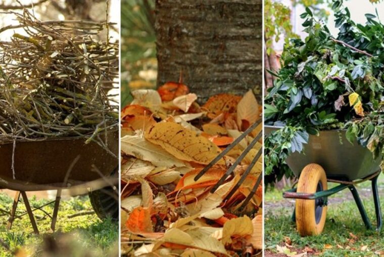 Utilizing Fallen Leaves and Twigs to Support Wildlife