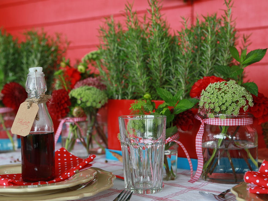 A Guide to a Thriving Herb Garden