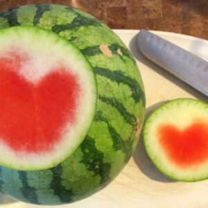 The Hidden Potential of Watermelon Rind