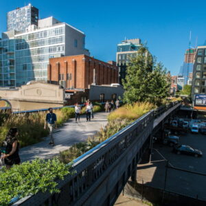 Exploring New York City's High Line