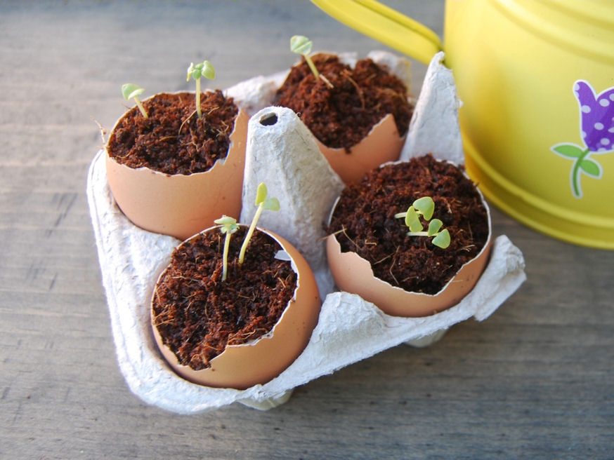 7 Ingenious DIY Seed Starters for an Eco-Friendly Garden