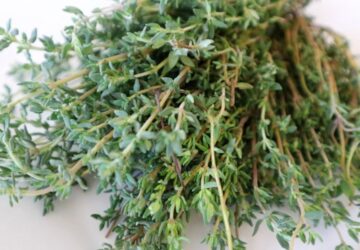 Homemade Thyme Cough Syrup