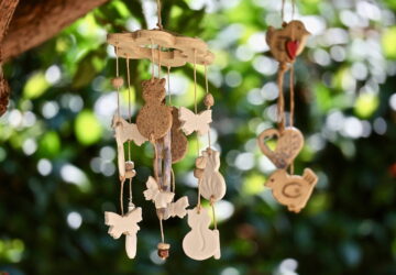Creating a Shade in Your Garden