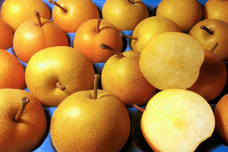 Japanese Pear: A Fresh Addition to Your Garden and Kitchen
