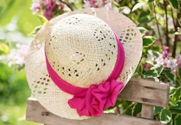 July Gardening Tasks
