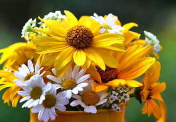 Keeping Your Bouquet Fresh Forever