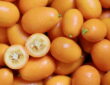 The Fascinating World of Kumquats