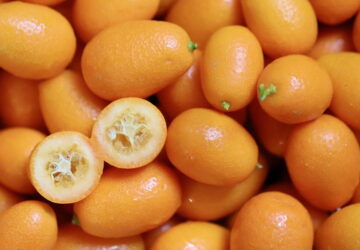 The Fascinating World of Kumquats