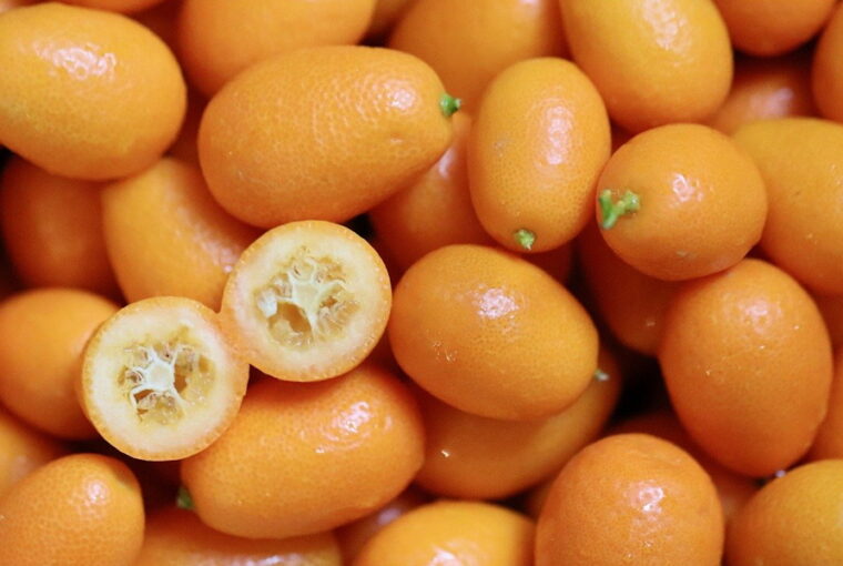 The Fascinating World of Kumquats