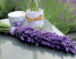 Lavender: 10 Fascinating Facts