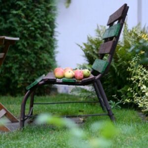 Autumn Lawn Care Guide