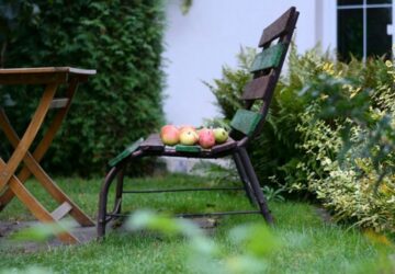 Autumn Lawn Care Guide