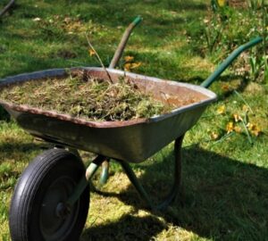 March Garden To-Do-List