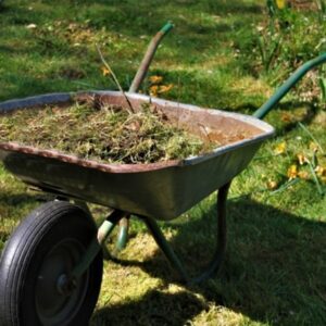 March Garden To-Do-List