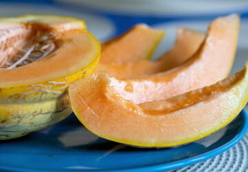 Growing and Enjoying Muskmelons