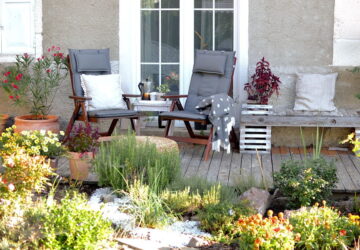 Keep Your Garden Mosquito-Free