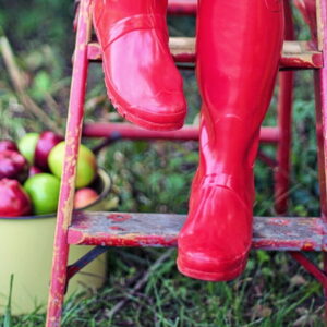 Autumn Garden: Common Mistakes to Avoid