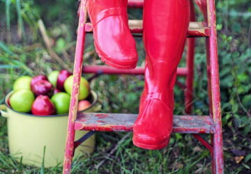 Autumn Garden: Common Mistakes to Avoid