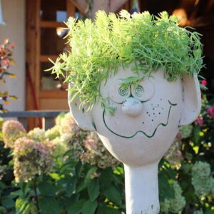 Novice Gardening No-Nos