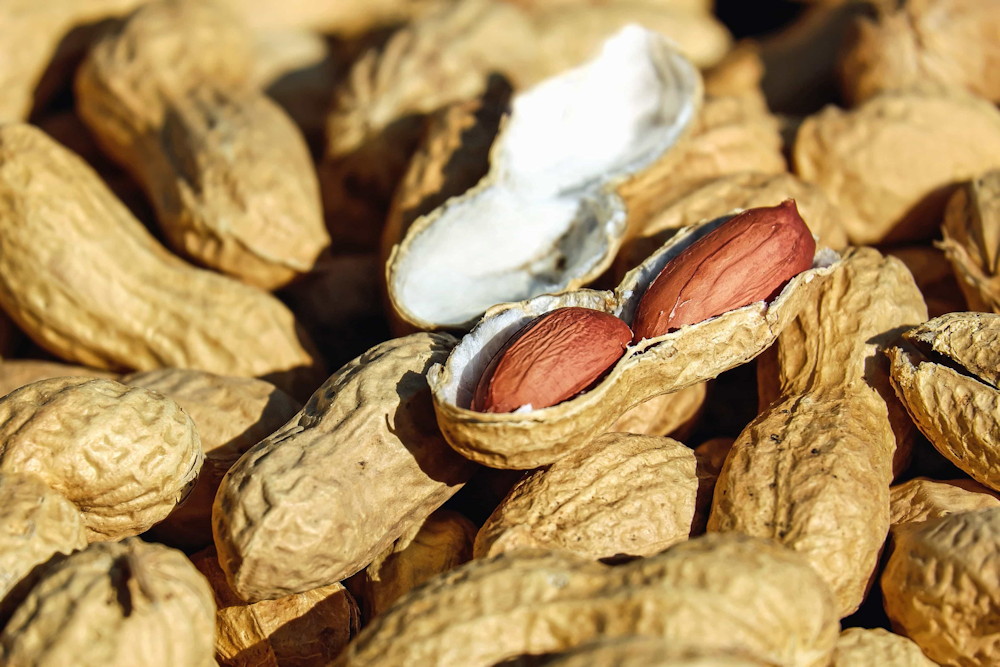 The Nutty World Of Peanuts: Tips And Tricks For Home Gardeners – Garden ...