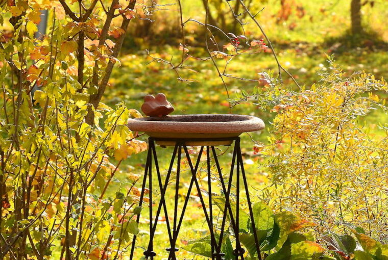 October in the Garden: Essential Tasks